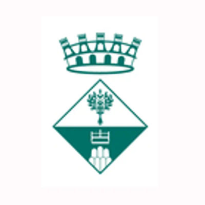 Ple Municipal del 28/5/2026