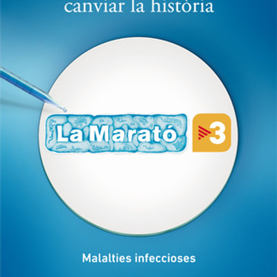 #192 -  Info 7 del 5/12/2017 - Actes per la Marató TV3 a Sant Celoni / T-Verda