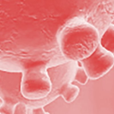 #739 - Butlletí Coronavirus del 15/5/2020 - La Generalitat demana que el Baix Montseny passi a fase 1