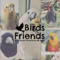 XQA TEMP 2021-2022 PROG 10 - DAVID ROMERO (BIRDS FRIENDS) - episode art