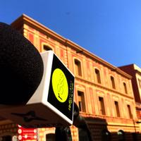 Programa especial dels alumnes de l'institut Vil·la Romana, grup E - episode art
