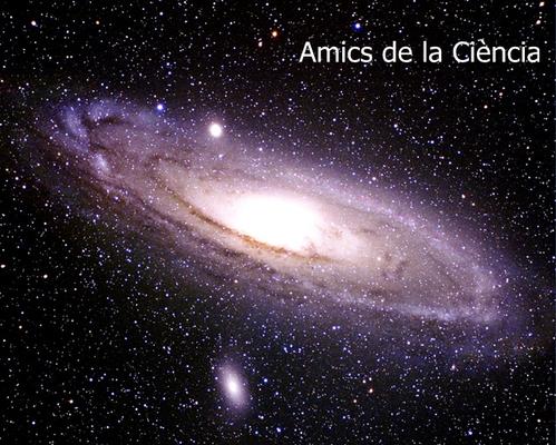 Amics de la Ciència