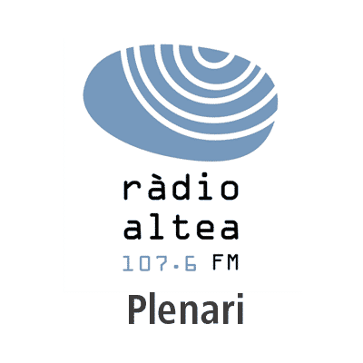 Plenari