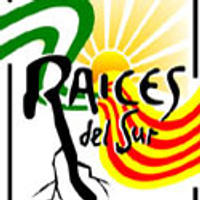 Raíces del sur del 31/12/2014 - episode art