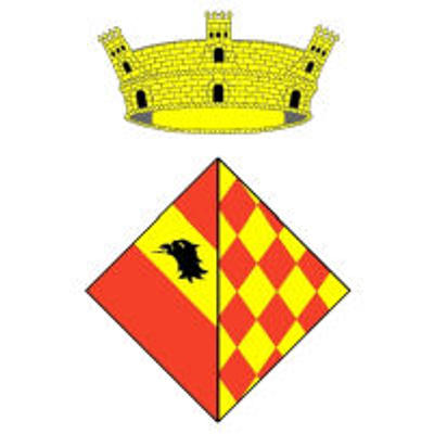 Ple de l'Ajuntament