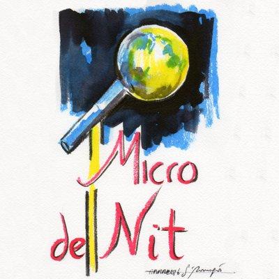Micro de nit