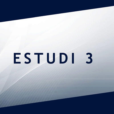 Estudi 3