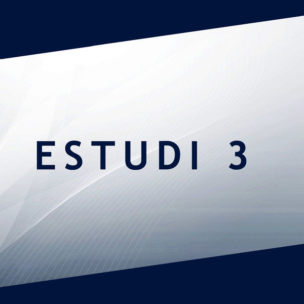 Estudi 3