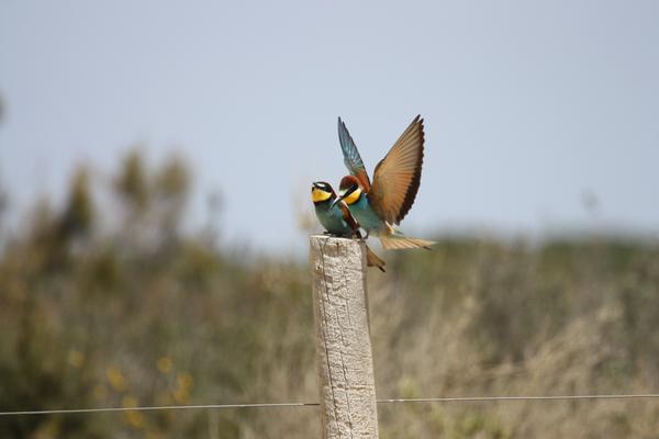 ESPAI NATURA
