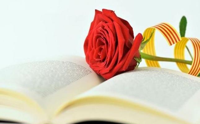 ESPECIAL SANT JORDI 2024