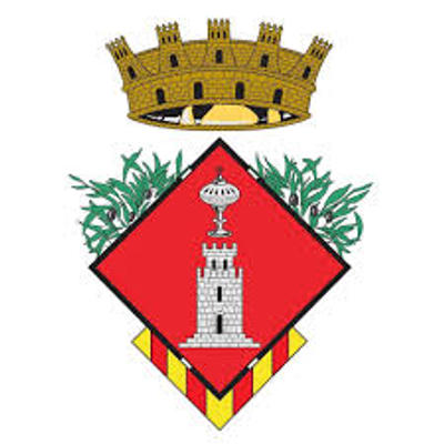 Ple de l'Ajuntament de Santa Bàrbara