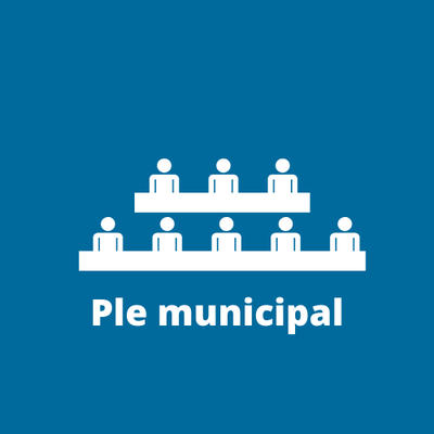 Ple Municipal