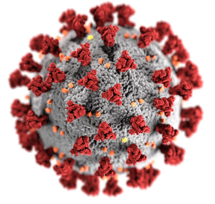 Coronavirus Podcast