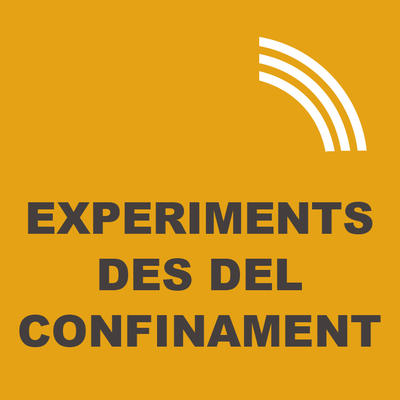 Experiments des del confinament