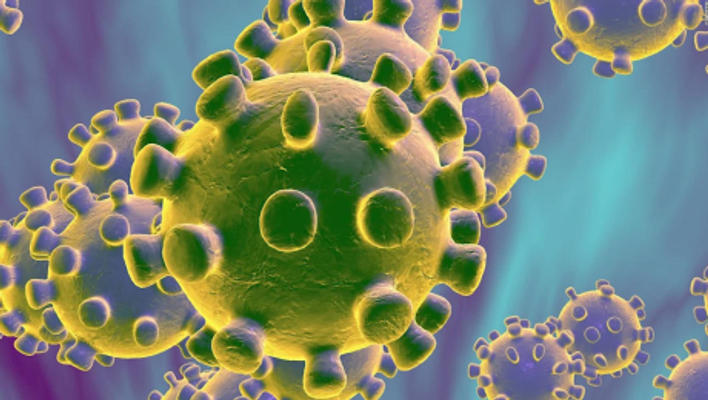 Programa Especial: El Morell combat el Coronavirus
