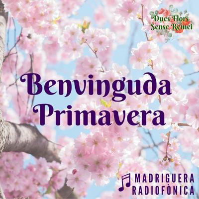 Madriguera Radiofònica