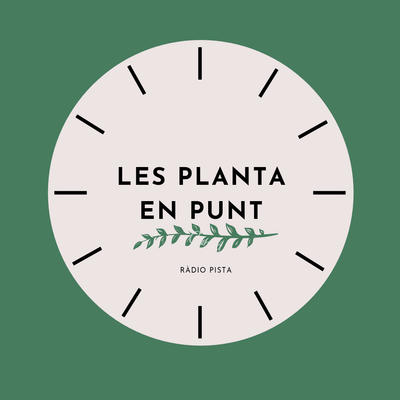 Les planta en punt