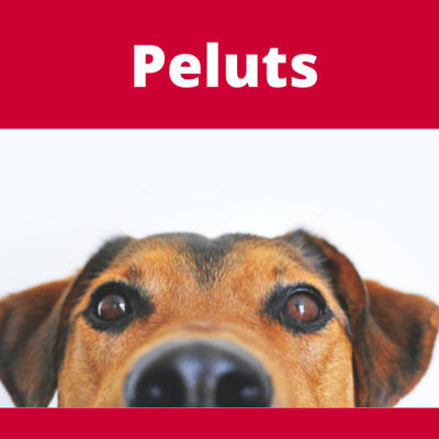 Peluts
