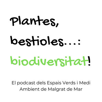 Plantes, bestioles...: biodiversitat!