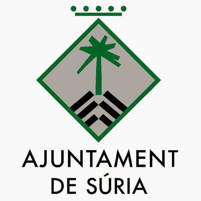 El Ple Municipal