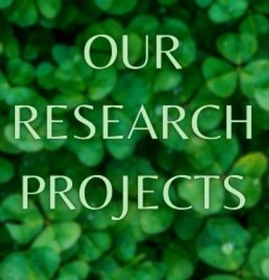 Our research projects