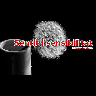 Sentit i Sensibilitat