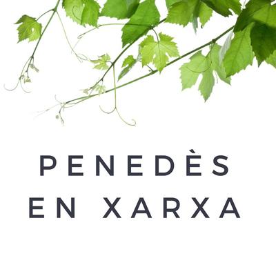 Penedès en Xarxa de 10h a 11h
