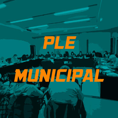 Ple Municipal