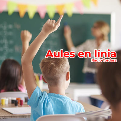 Aules en línia