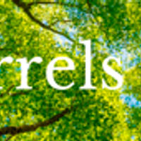 Arrels i ales del 20/12/2023 - episode art