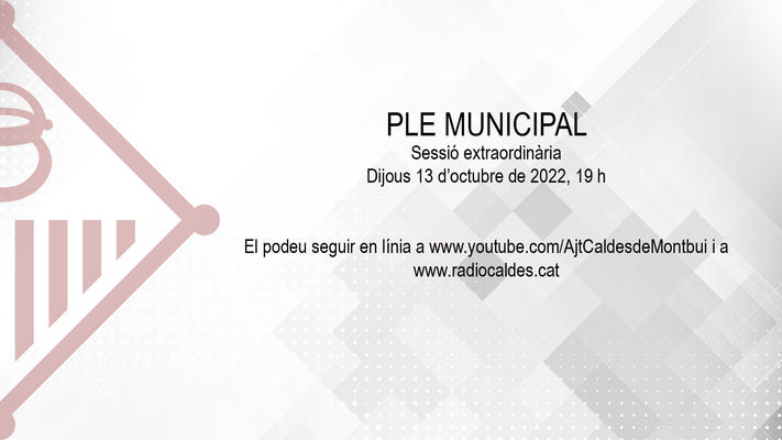 Ple extraordinari 13 d'octubre 2022
