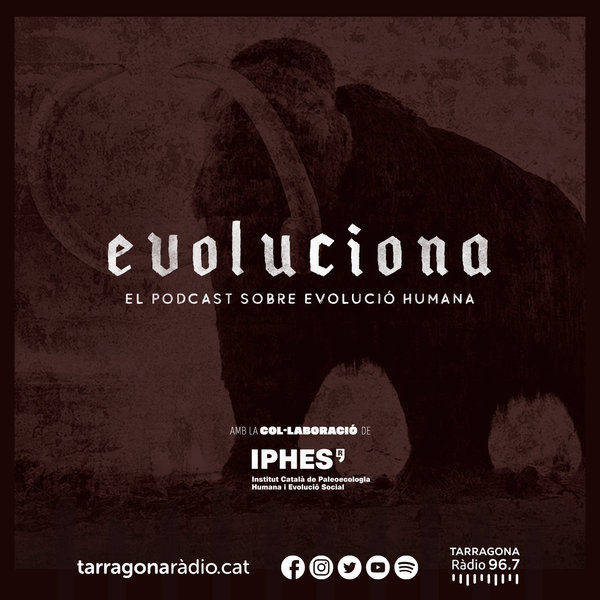 Evoluciona, la investigació sobre l'evolució humana, amb l'Iphes