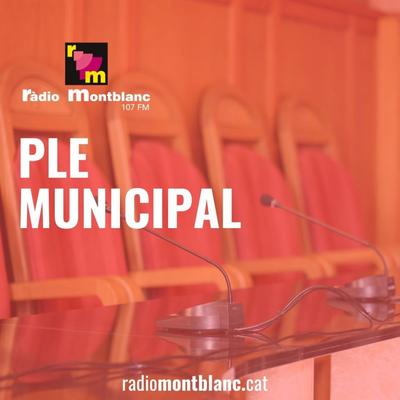 Ple Municipal