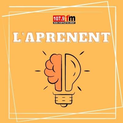 Secció - L'Aprenent