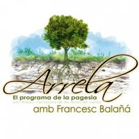 Arrela del 25/12/2025 - episode art