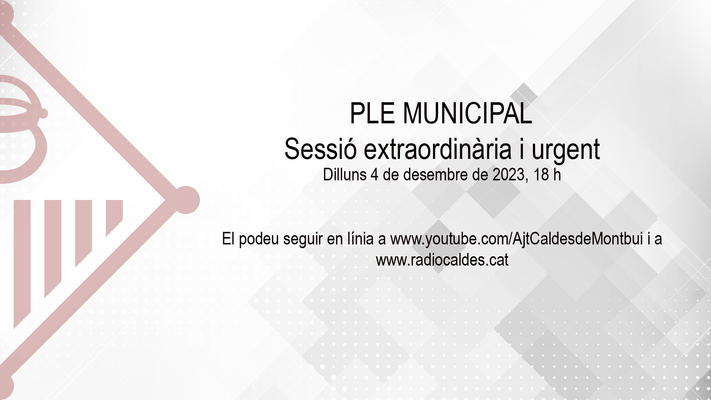 Ple extraordinari 4 de desembre