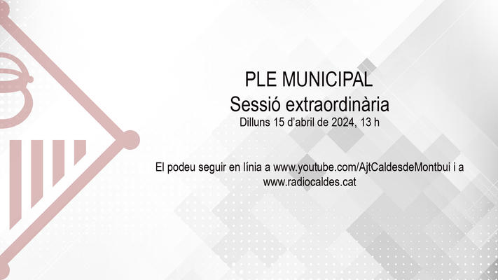 Ple extraordinari 15 d'abril 2024