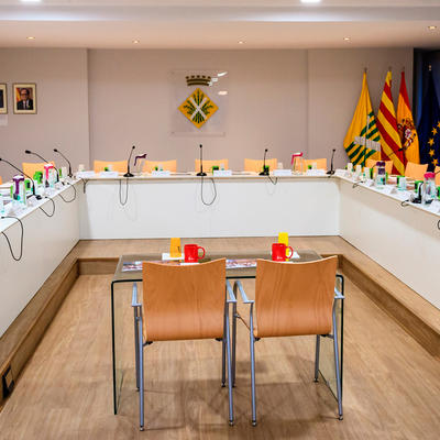 Valoracions del Ple Municipal