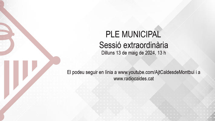 Ple extraordinari 13 de maig 2024