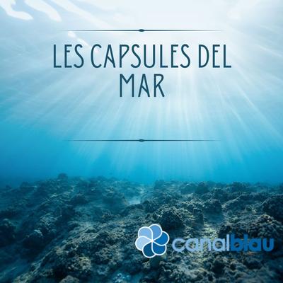 Les càpsules del mar