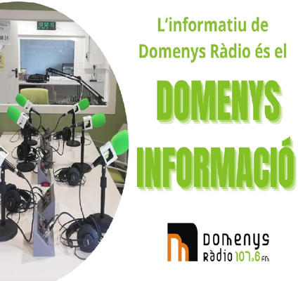 Domenys Informació (Resum)