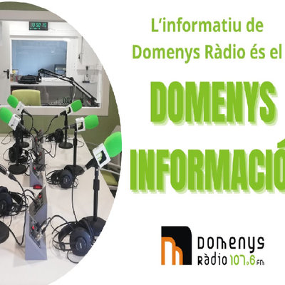 Domenys Informació (Resum)