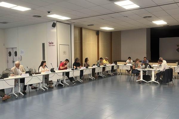 Plens Municipals