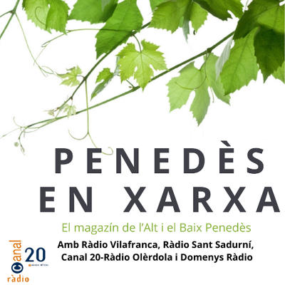 Penedès en Xarxa 10-11 h