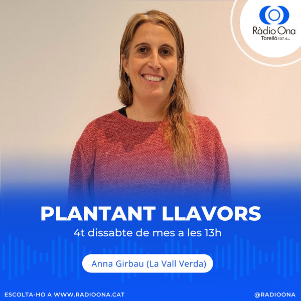 Plantant llavors
