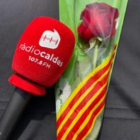 Programa especial Sant Jordi 2025 - episode art