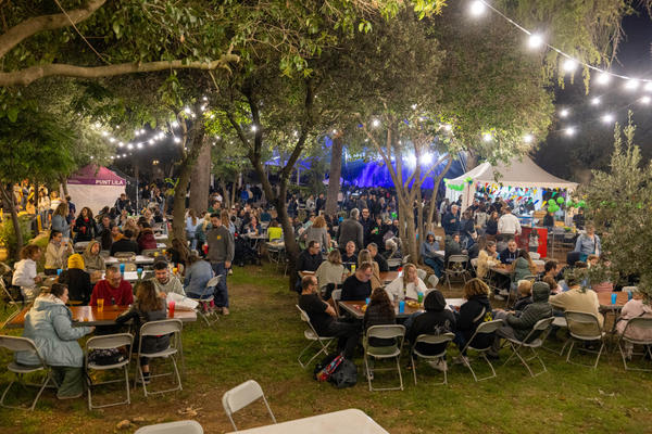 Programa especial Festa Major 2025