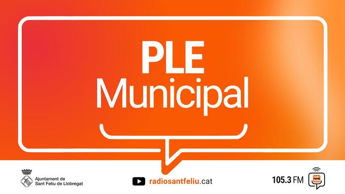 El Ple Municipal