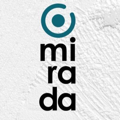 Mirada d'artista, l'entrevista