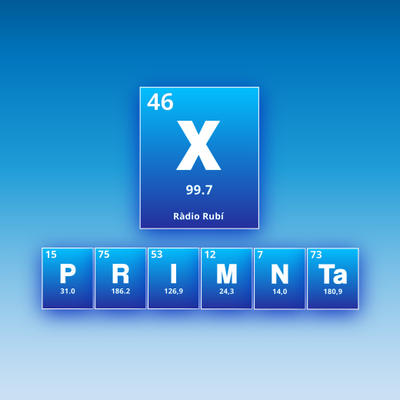 Xprimnta